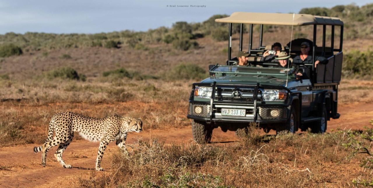 Woodbury Tented Camp - Amakhala Game Reserve Zewnętrze zdjęcie