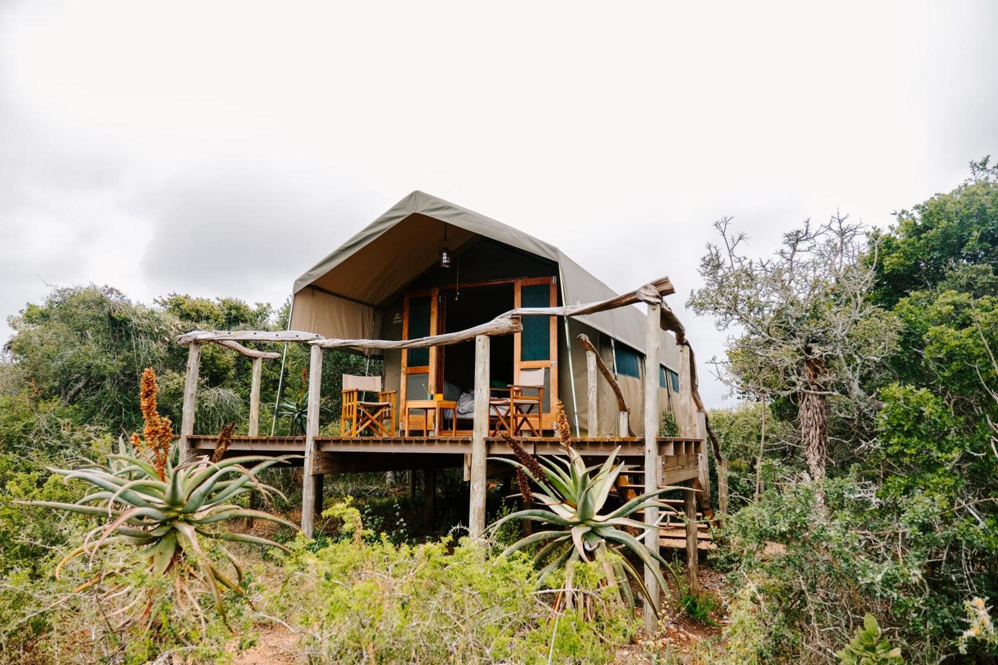 Woodbury Tented Camp - Amakhala Game Reserve Zewnętrze zdjęcie