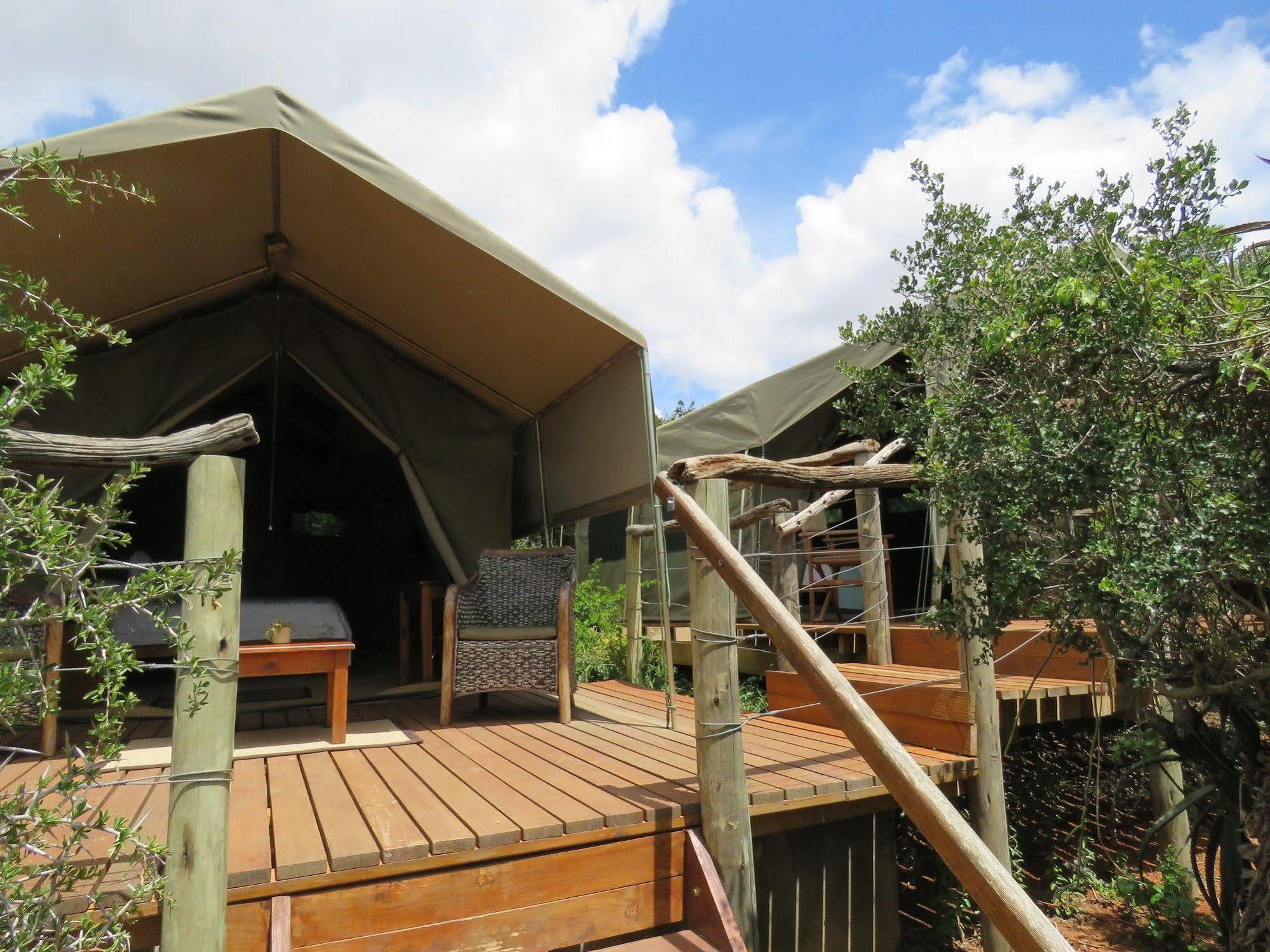 Woodbury Tented Camp - Amakhala Game Reserve Zewnętrze zdjęcie