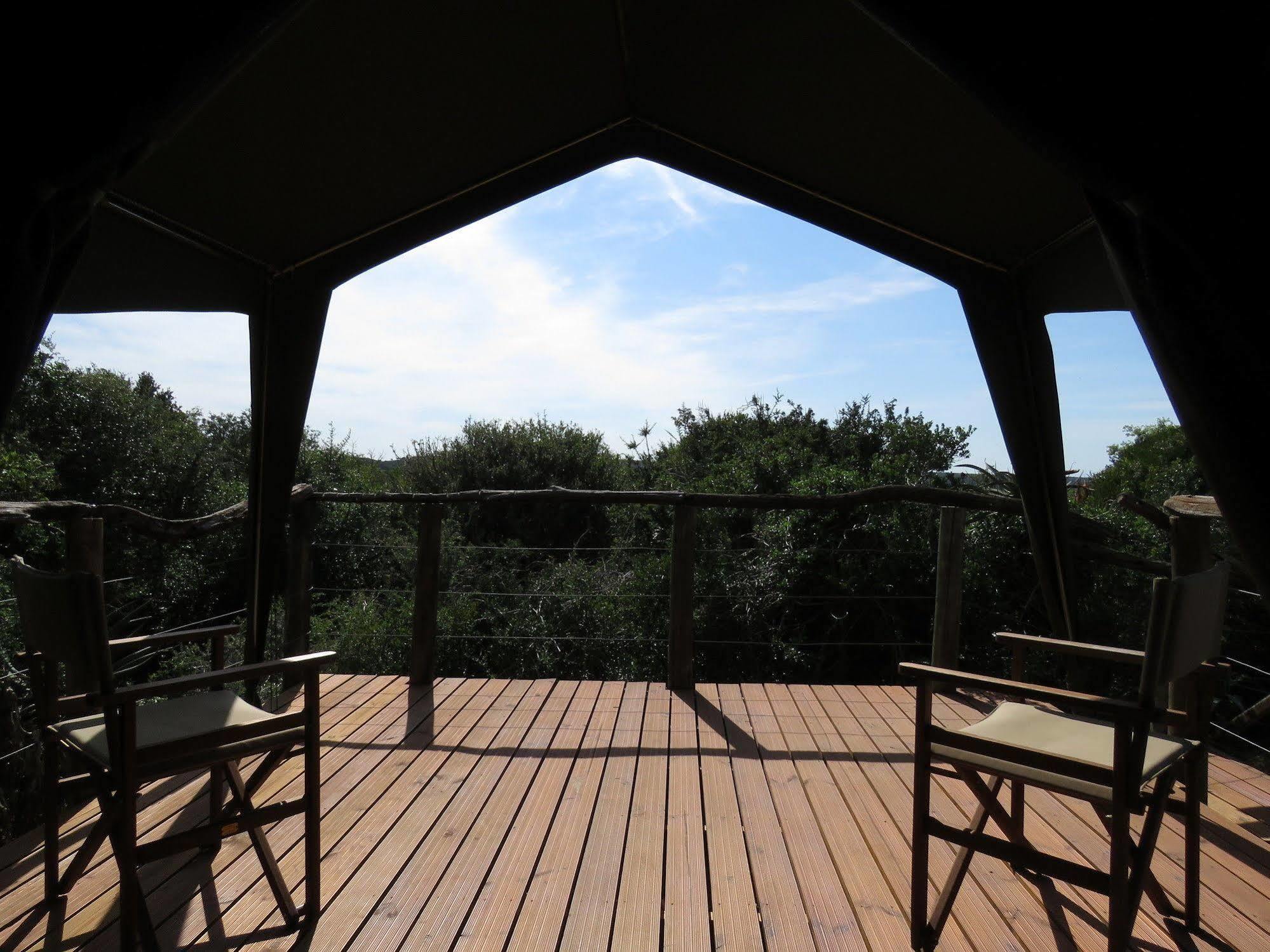 Woodbury Tented Camp - Amakhala Game Reserve Zewnętrze zdjęcie