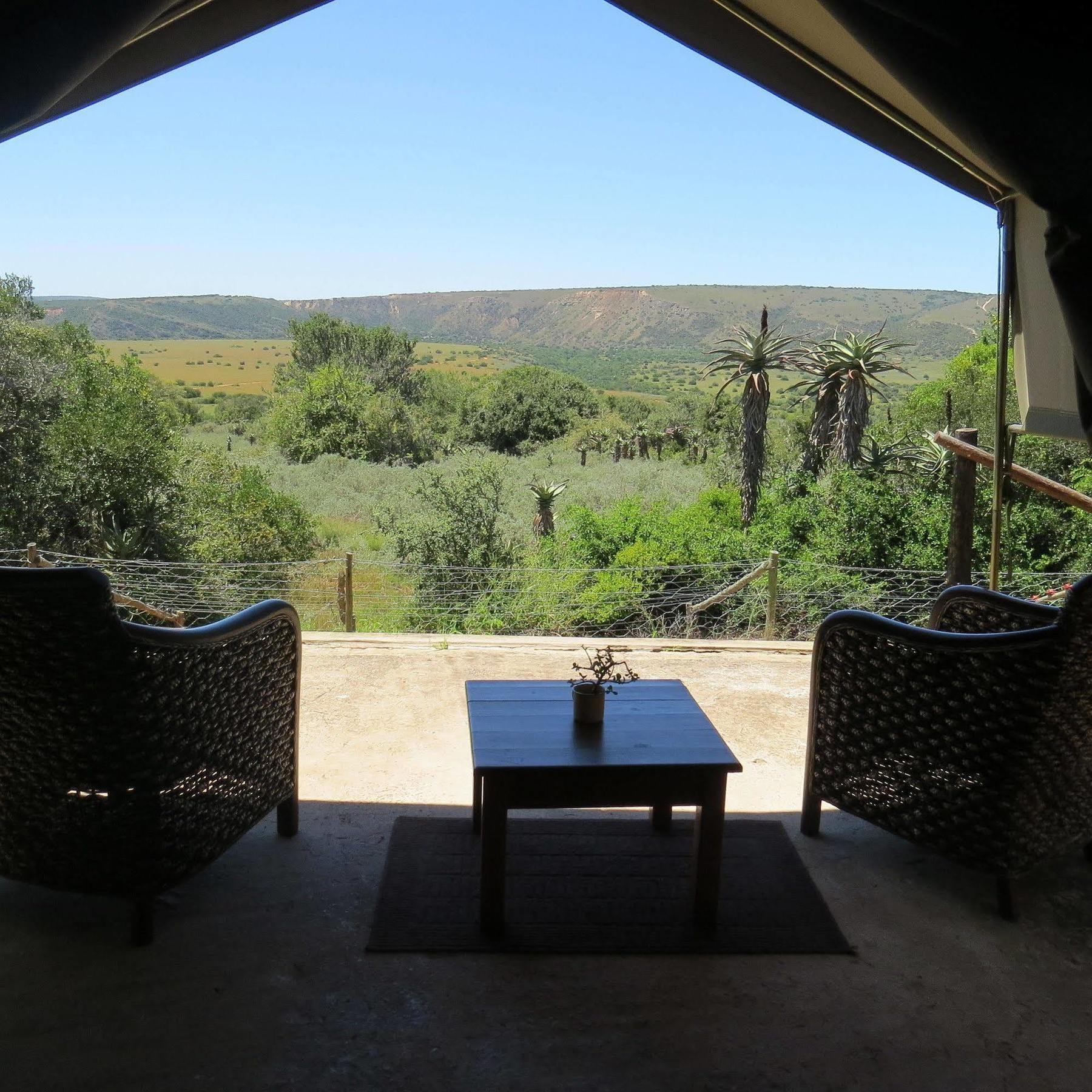 Woodbury Tented Camp - Amakhala Game Reserve Zewnętrze zdjęcie