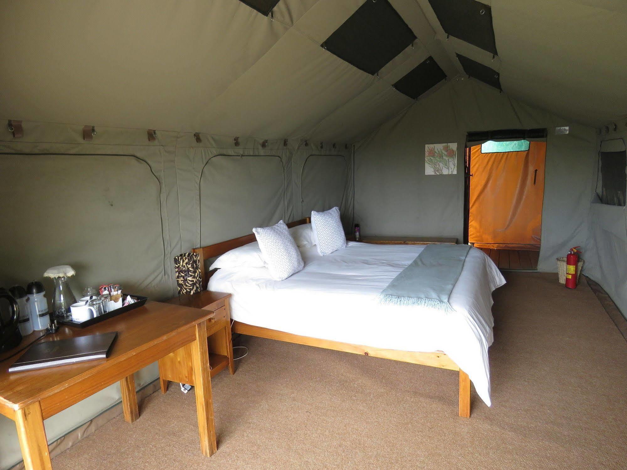 Woodbury Tented Camp - Amakhala Game Reserve Zewnętrze zdjęcie