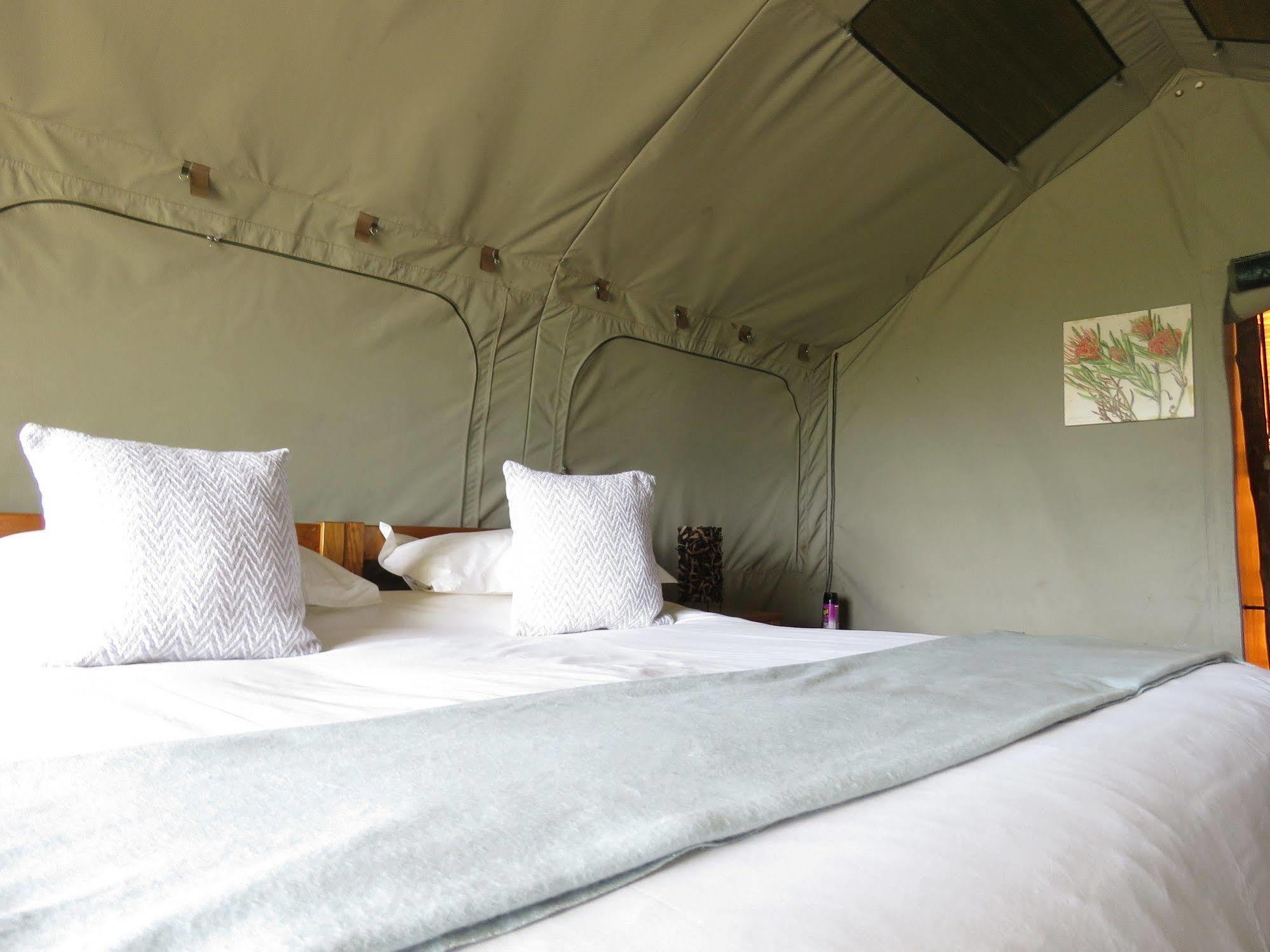 Woodbury Tented Camp - Amakhala Game Reserve Zewnętrze zdjęcie