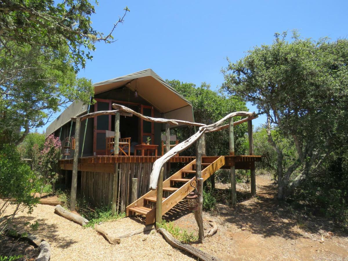 Woodbury Tented Camp - Amakhala Game Reserve Zewnętrze zdjęcie
