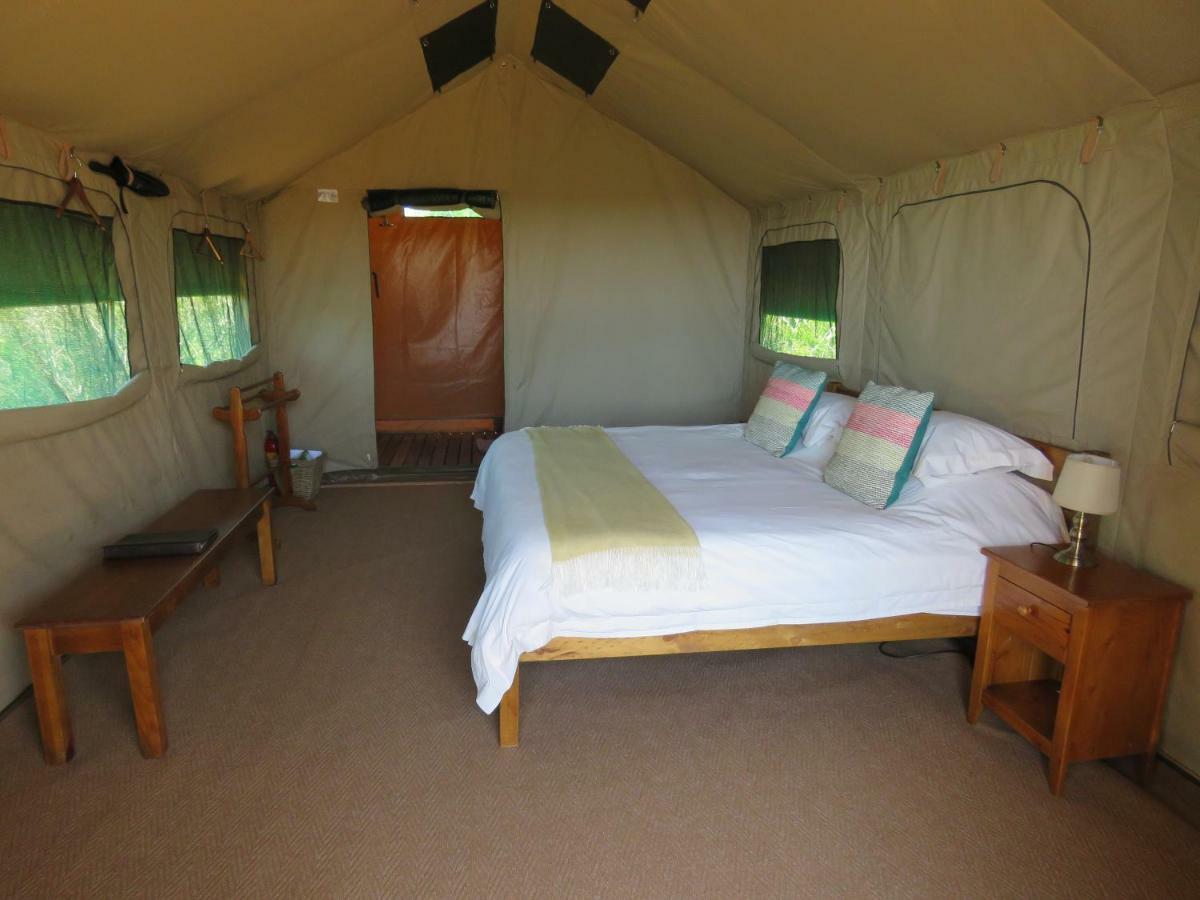 Woodbury Tented Camp - Amakhala Game Reserve Zewnętrze zdjęcie